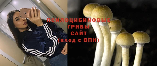 трава Аркадак