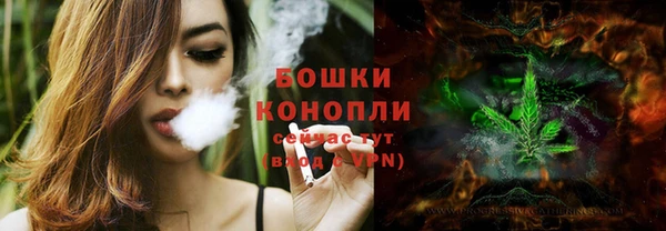 трава Аркадак