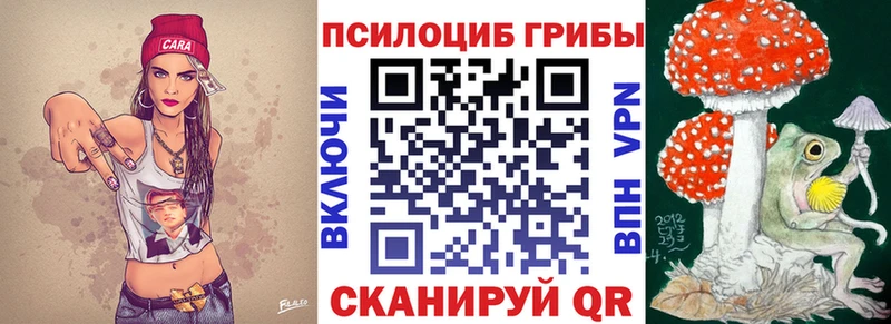 Купить закладки  Торопец  Псилоцибиновые грибы Psilocybine cubensis 
